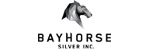 Bayhorse Silver Inc. Bayhorse Silver Inc.